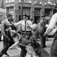 Protesters attacked by police dogs in Birmingham AL during a civil rights demonstration.