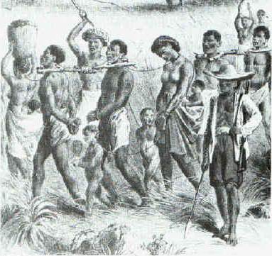 Slaves captured in the interior being marched to the coast for sale