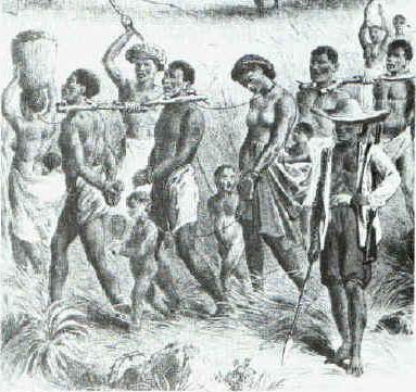 Slaves captured in the interior being marched to the coast for sale Slaves captured in the interior being marched to the coast for sale