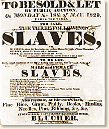 Slave Auction Poster