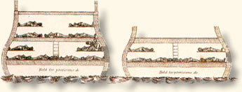 What I Saw Aboard A Slave Ship In 1829 America S Black Holocaust Museum