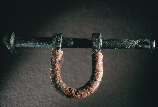 HenttaMari NatGeo shackles