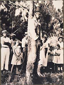 During the Great Depression, Rubin Stacy came to Ft. Lauderdale, Florida, looking for work. In desperation, Rubin knocked on the door of Marion Jones, a white woman, to ask for food. Accused of intending to harm her, Rubin was lynched. Even very young children were brought to witness this community ritual.
