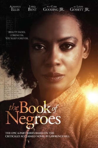 book-of-negroes poster