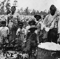 Enslaved family picking cotton