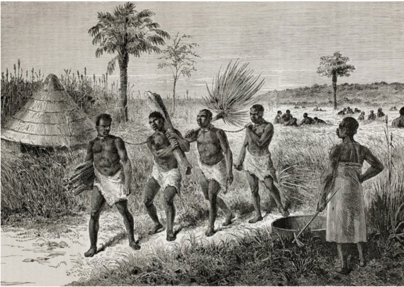 A slave coffle in Africa. 