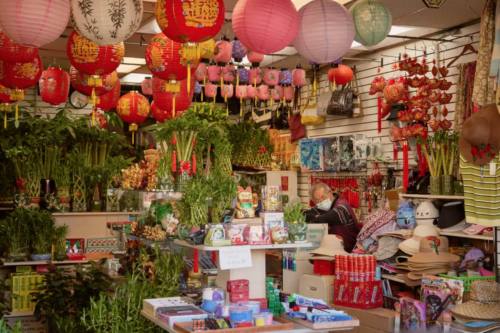 One of the first areas to feel the economic impact of the coronavirus, Chinatown has been empty of tourists since February.