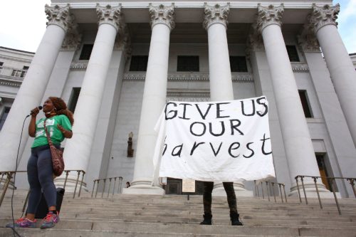 reparations-protest Reparations "Give Us Our Harvest"