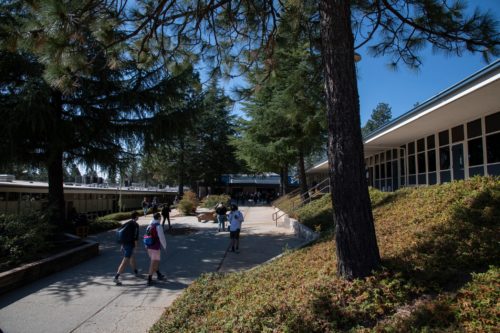 Minorities-as-a-campus