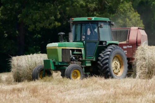 USDA-Black-farmers