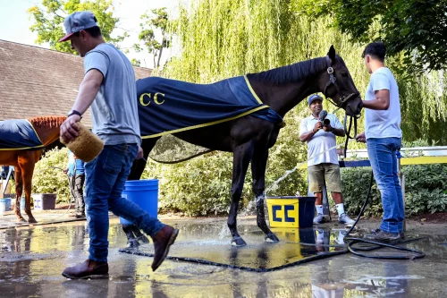 29horse-real-players-superJumbo Rasi Harper of The Real Players Inside the Backstretch interviews backstretch worker Tyler Sousa for a YouTube segment. (Cindy Schultz for The New York Times)