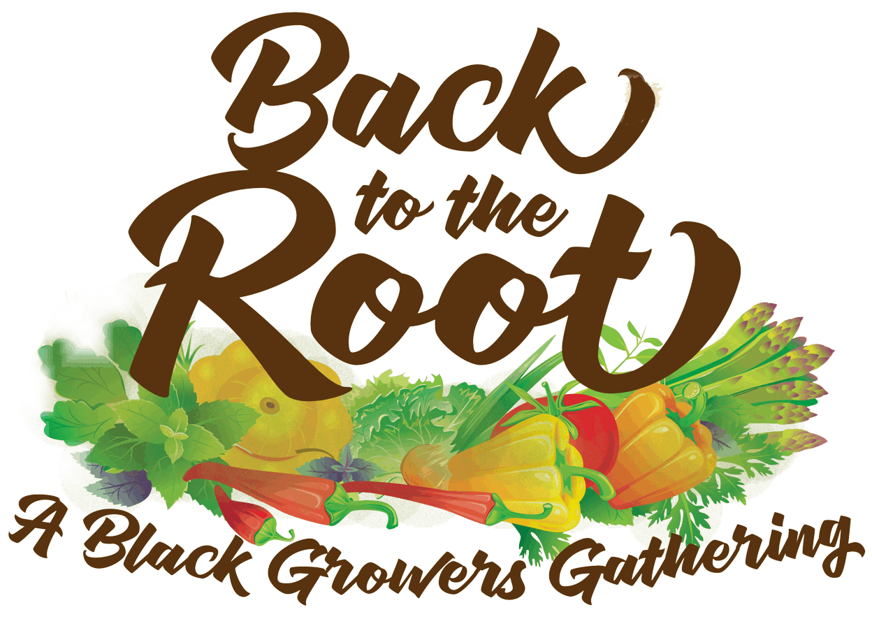 Back To The Root logo