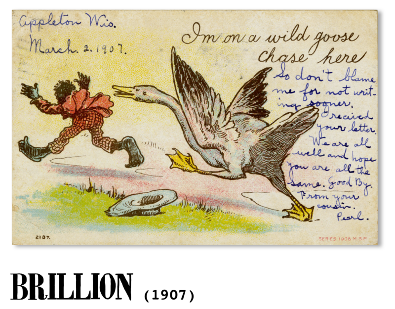 On A Wild Goose Chase postcard - Brillion, WI