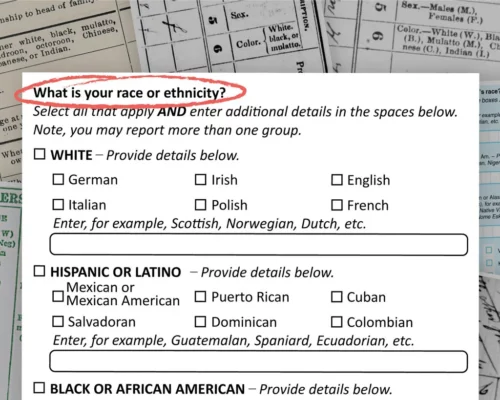 Census race question