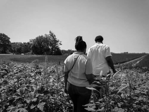 The U.S. Department of Agriculture will no longer use the term “socially disadvantaged,” which described farmers or ranchers who had been subjected to racial, ethnic, or gender discrimination. (Aallyah Wright/Capital B)