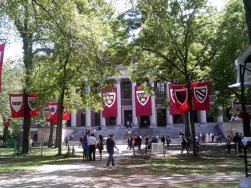 Harvard University yard, with trees and banners