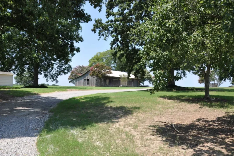 Driveway leading to a small barn