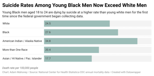 CDC annual mortality data (Adam Mahoney/CapitalB)