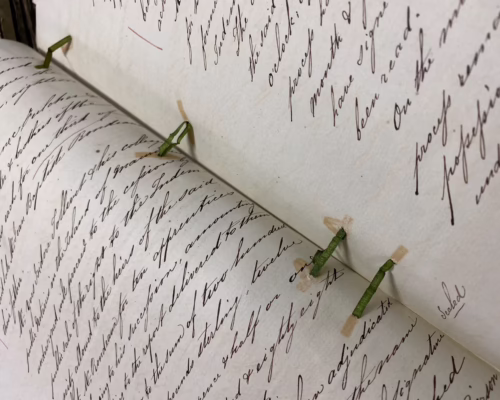 Pages from the former British Colonies Enslavement Registers (1813–1840). (National Archives)